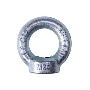 DIN580 EYE BOLT
